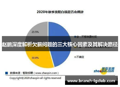 赵鹏深度解析欠薪问题的三大核心因素及其解决路径