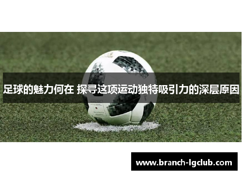 足球的魅力何在 探寻这项运动独特吸引力的深层原因